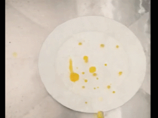 微信圖片_20190605094845.gif